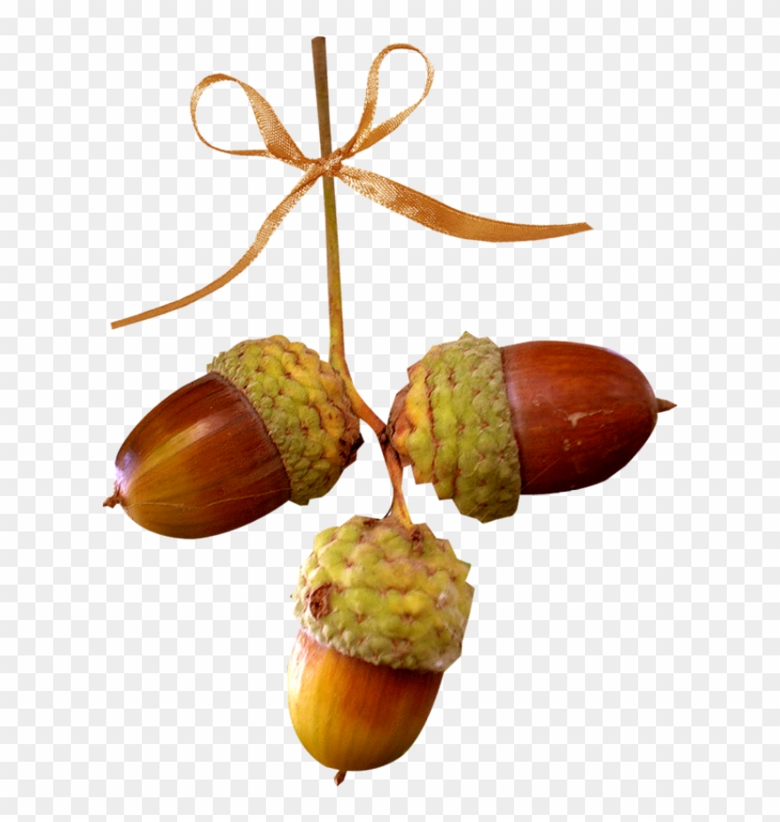 Изображение Для Плейкаста Clipart