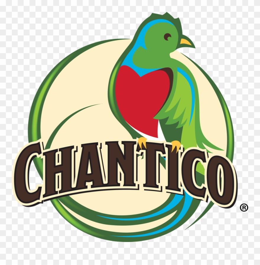 Banana Chocolate Muffins Clipart