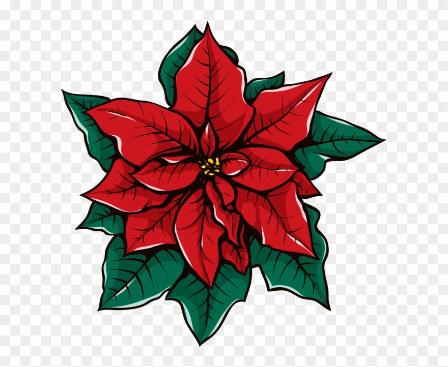 Pointsettas Are Gifted To Community Residents In Local Clipart