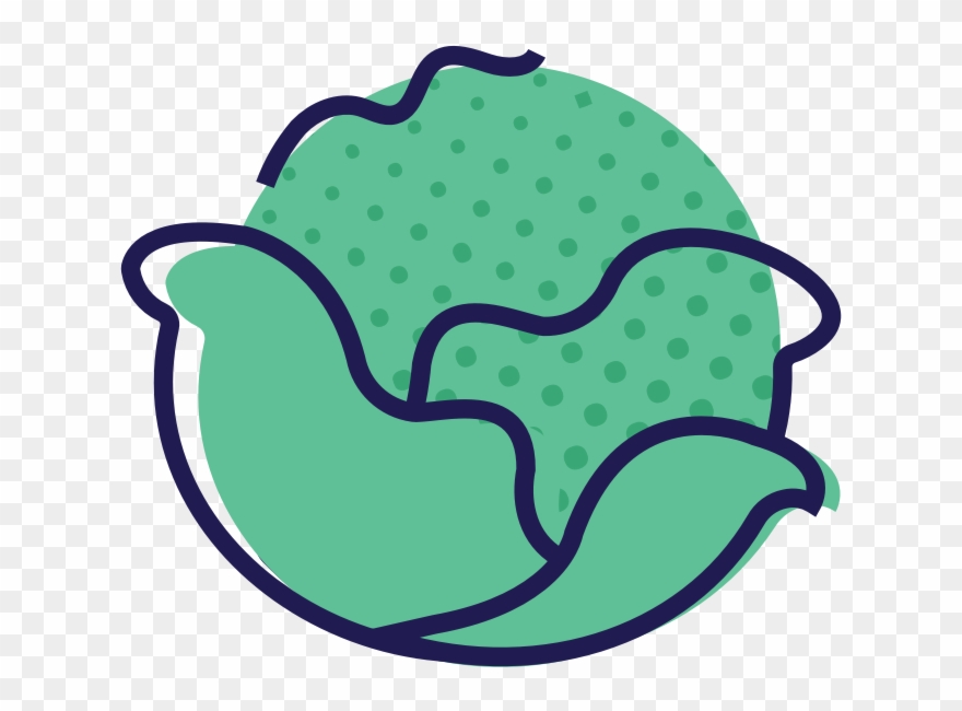 Your Baby Is The Size Of A Cabbage Clipart