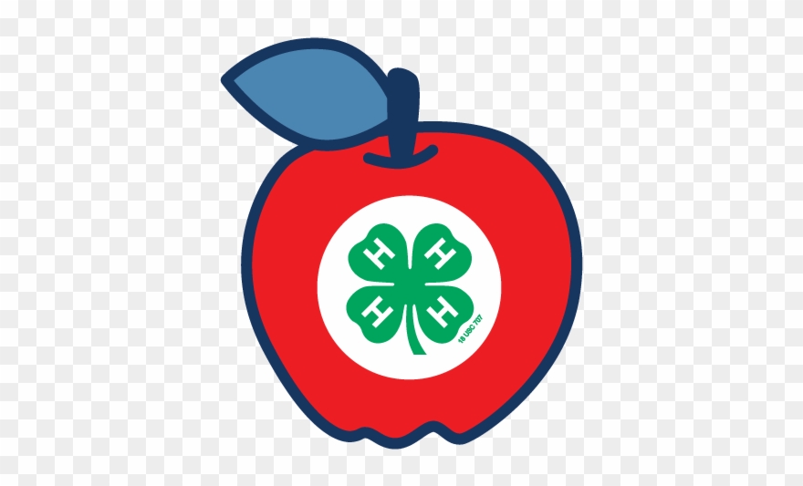 Single Session Activities Clipart