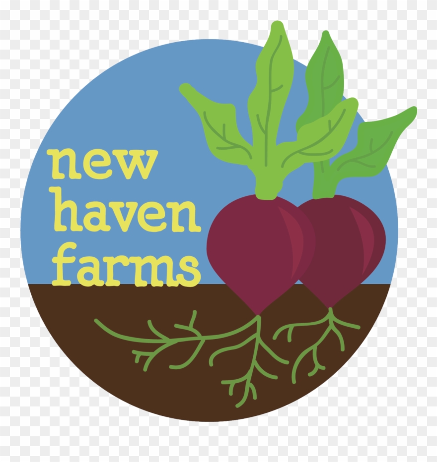 New Haven Farms Is Looking For An Administrative Assistant Clipart