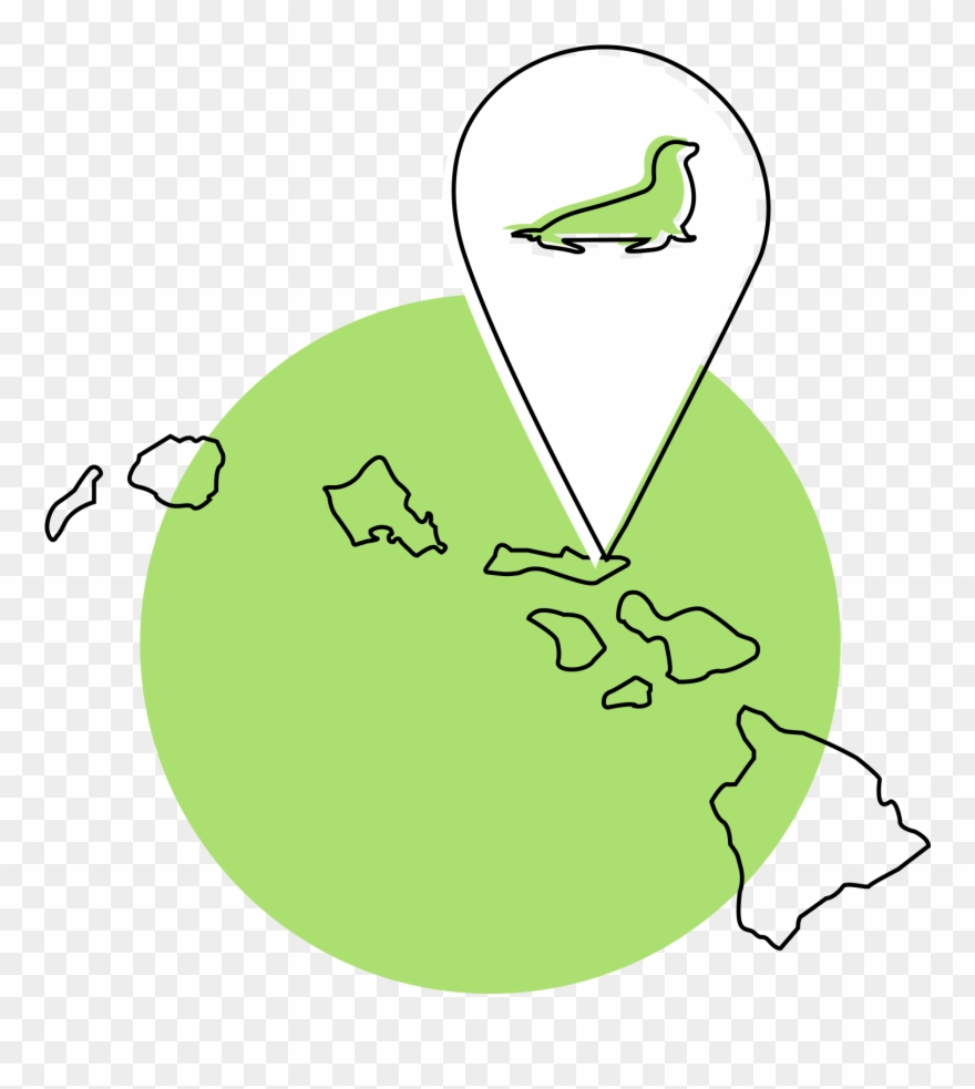 There Are Less Than 1,400 Hawaiian Monk Seals Left Clipart