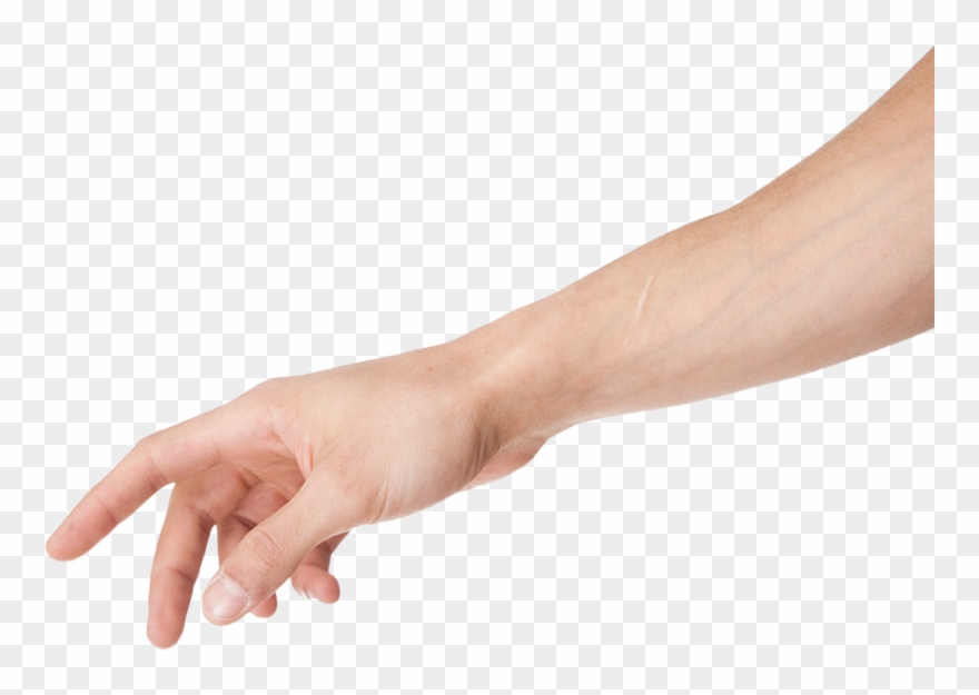 Arm Clipart - Png Download