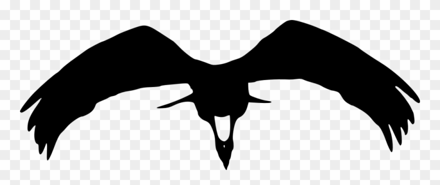 15 Bird Silhouette Png Transparent Onlygfx Com Tuxedo Clipart