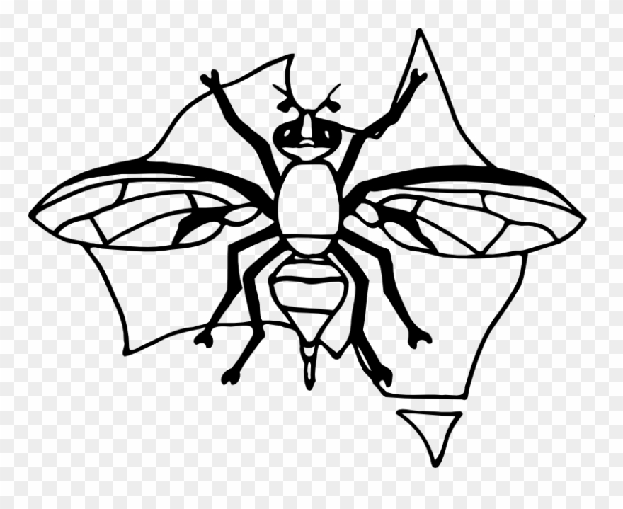 Learn About Our Plant Biosecurity Crc Project On Queensland Clipart