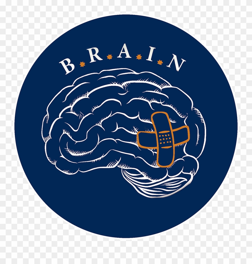 B - R - A - I - N - Programs Inc - Clipart