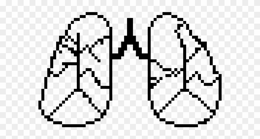 Lungs Clipart