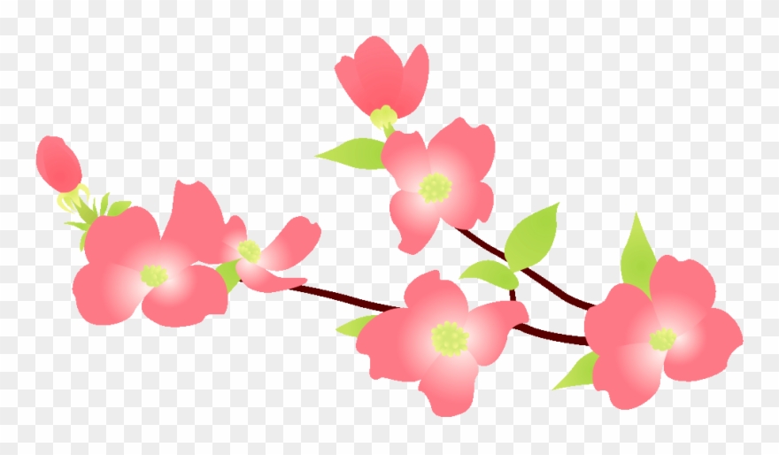 183 花水木／ハナ - Clipart