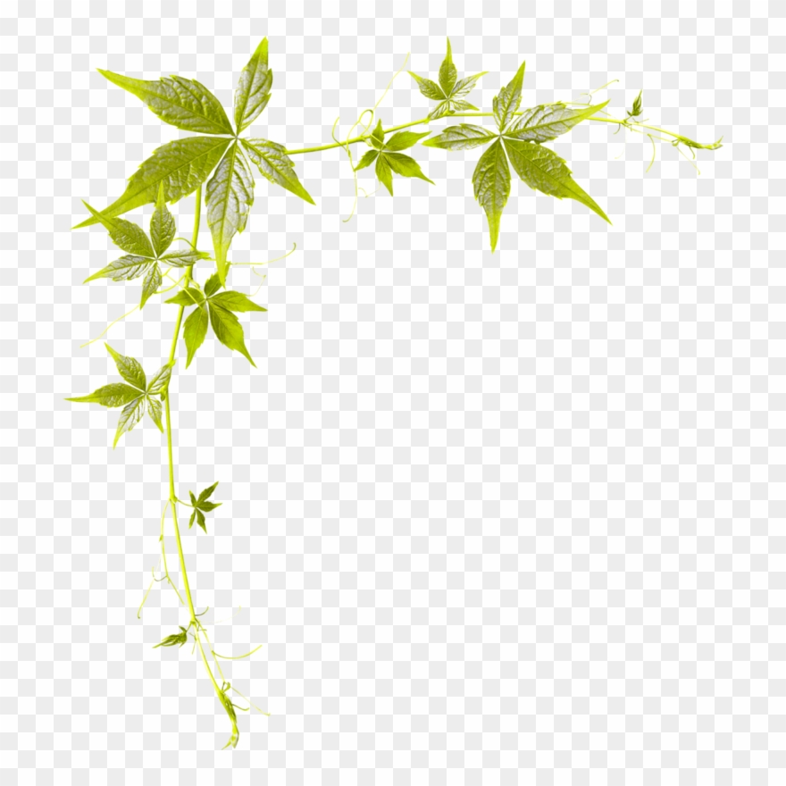 Coins,bordures Clipart