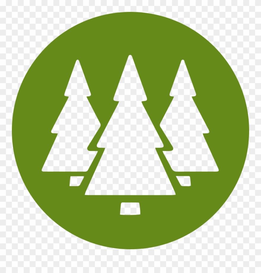 The Summer Of 2018 In The Winnipesaukee Playhouse Education Clipart