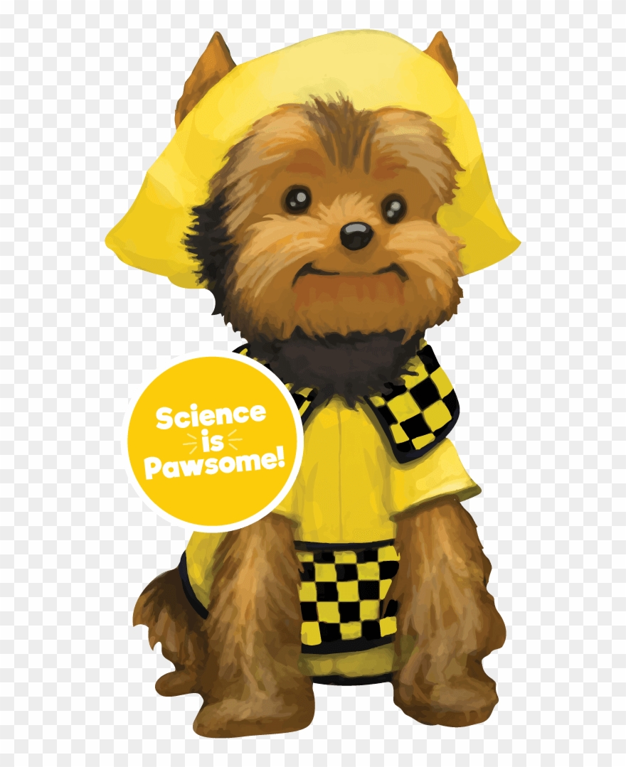 Schmitty The Weather Dog Book Clipart