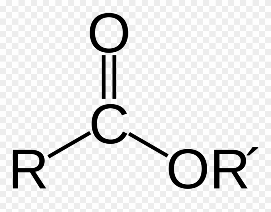 Cookout Clipart Food British - Png Download