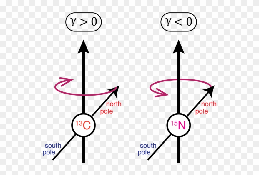 For A Nucleus Clipart