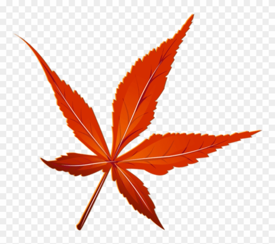 Download Transparent Red Leaf Picture Clipart Png Photo