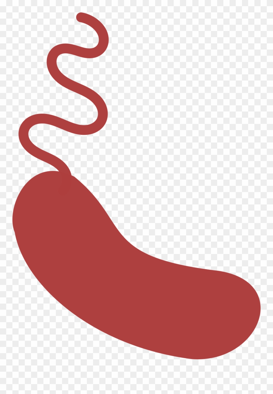 Experimental Plan Clipart