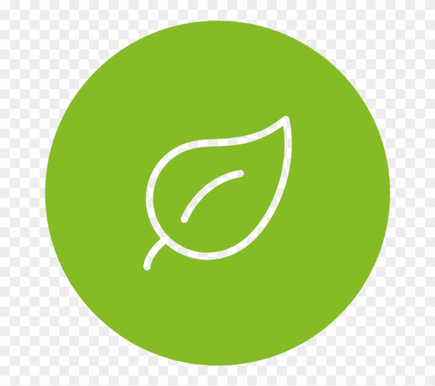 Done Icon Clipart