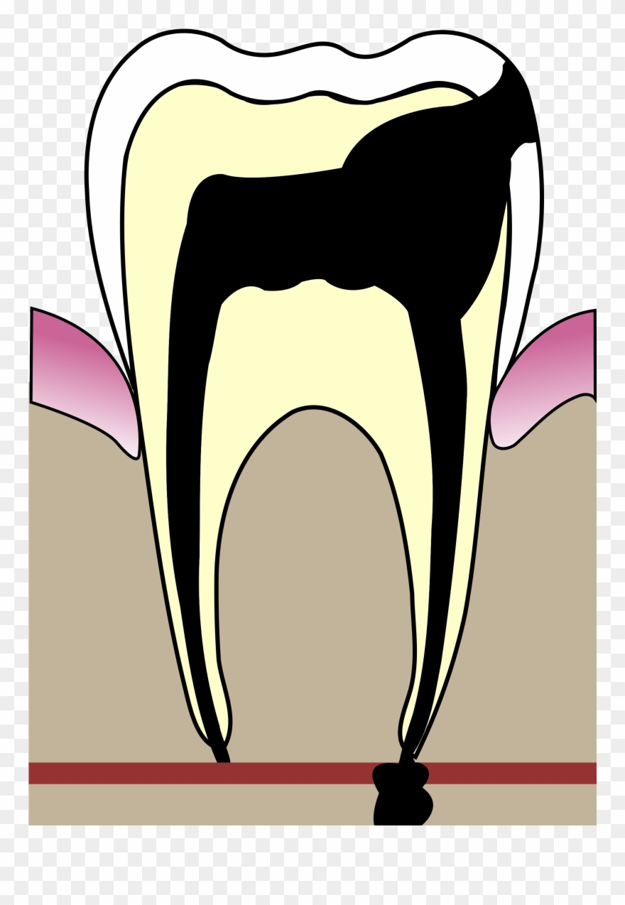 Ears Clipart Hygiene - Png Download