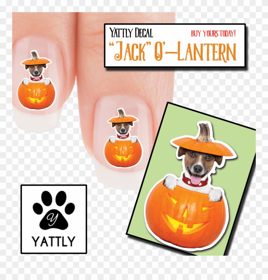 Jack Russell Jack O Lantern Nail Art Decals Clipart
