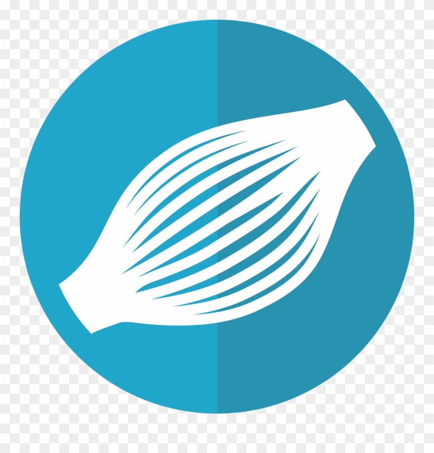 Icon Fibers Fibres Clipart