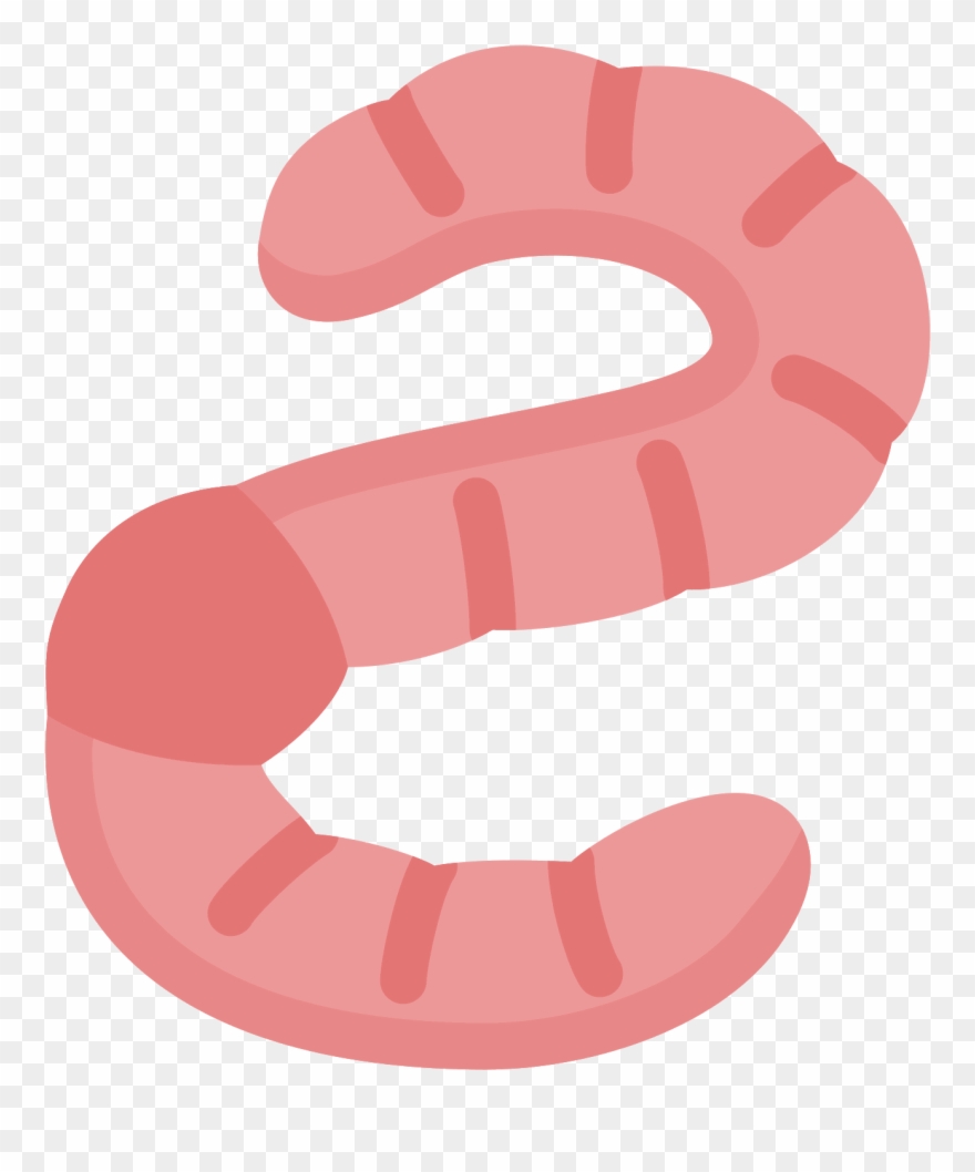 Worms Png Images Free Clipart