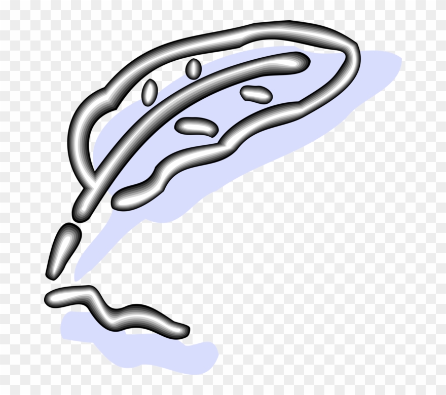 Vector Illustration Of Feather Quill Pen Writing Instrument Clipart