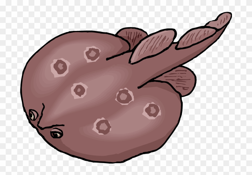 Stingray Clipart - Png Download