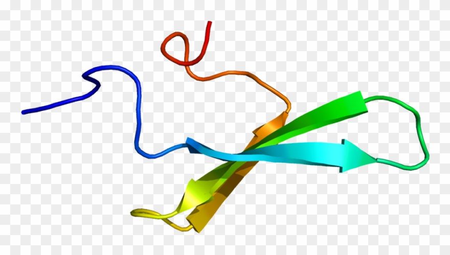 Transcription Clip Art - Png Download