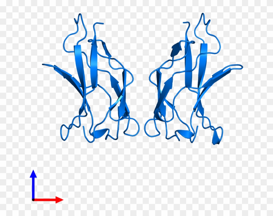 <div Class='caption-body'>pdb Entry 1bft Contains 2 Clipart