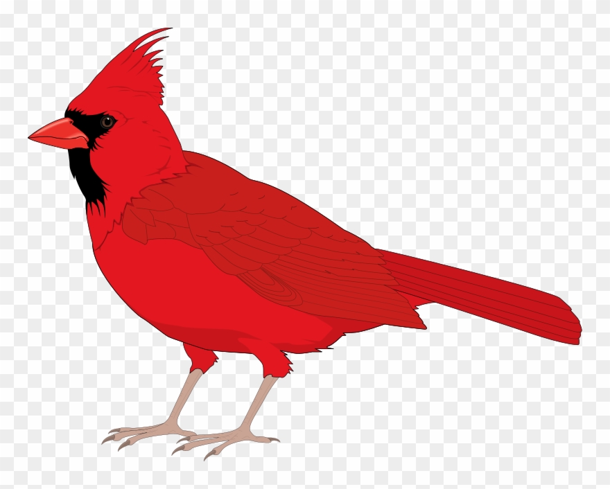 Early Bird Clip Art Cliparts - Png Download