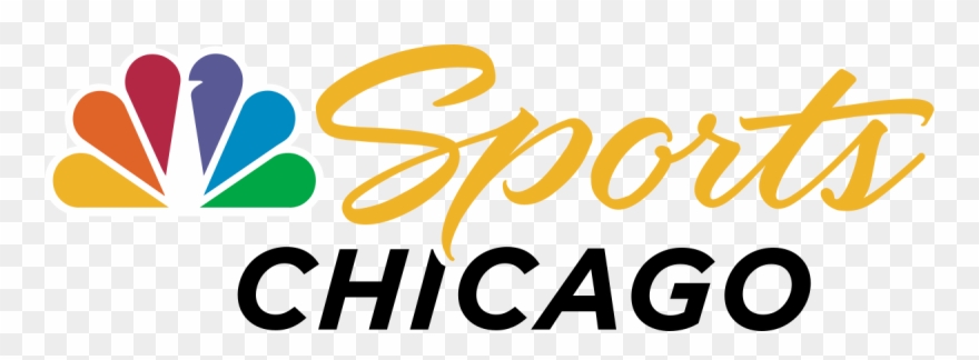 Essay About Aquatic Animals Clipart - Png Download