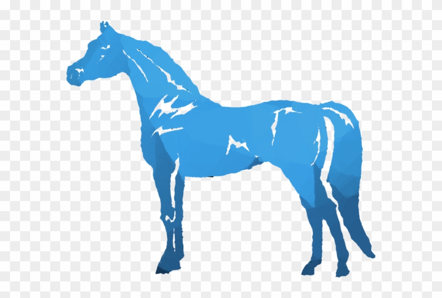 Arabian Horse Decal Clipart Arabian Horse American - Png Download