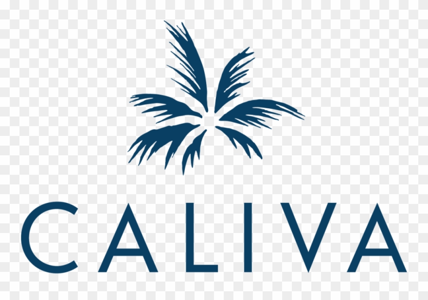 This Year 420 Is For Everyone Clipart