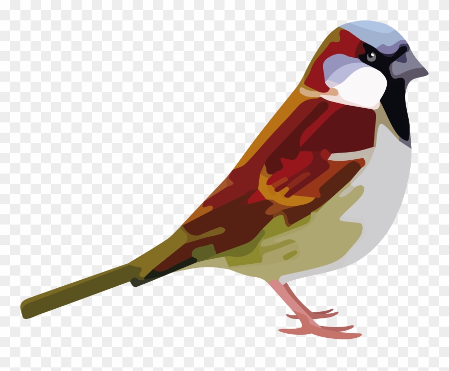 Sparrow Quantum Blegdamsvej 17 2100 Cph Denmark Phone Clipart
