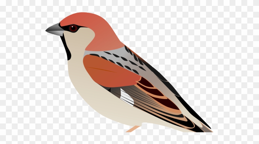 There's More Where That Came From Clipart