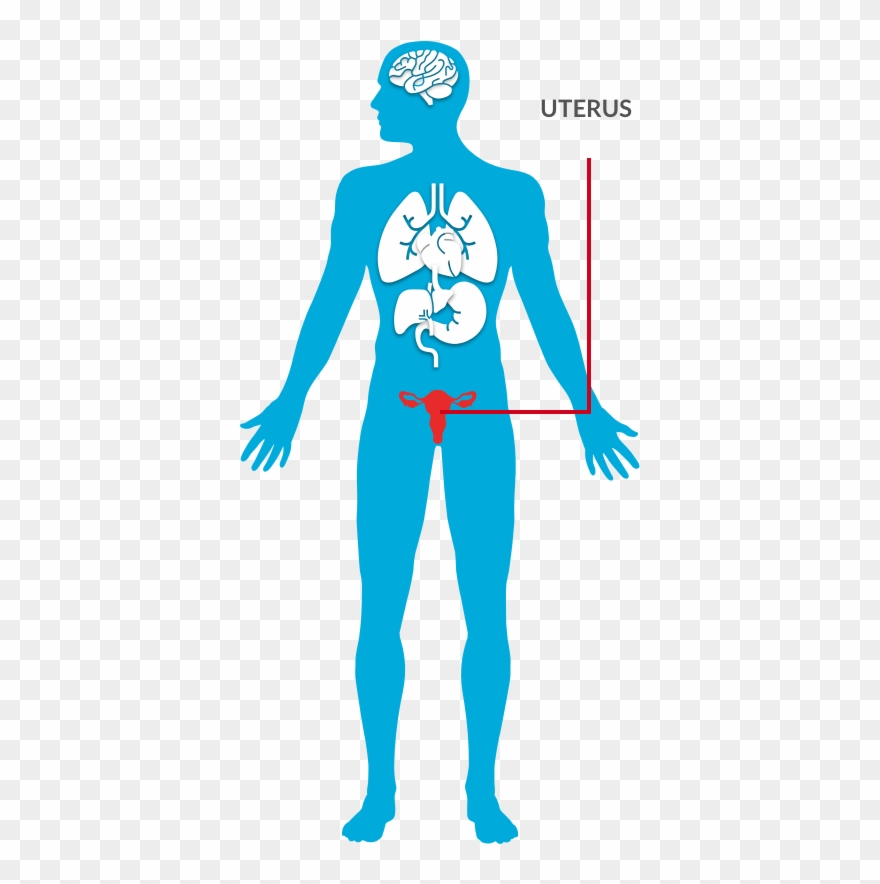 Robotic Assisted Hysterectomy Clipart