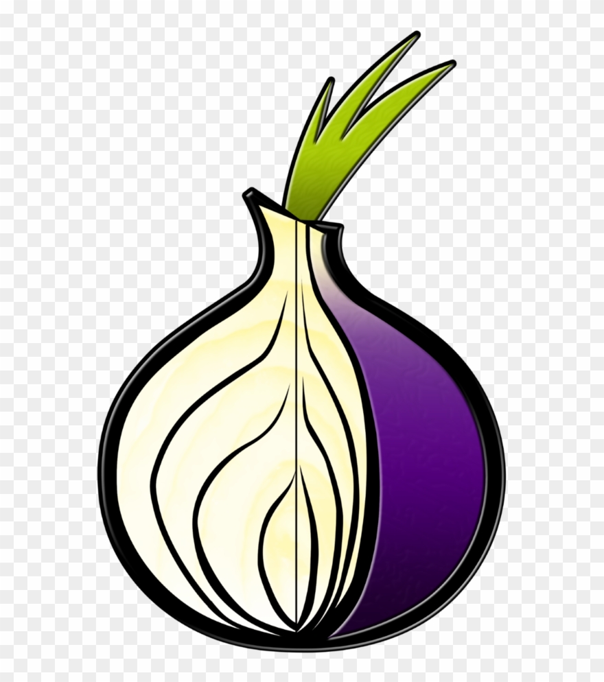 Onion Clipart Tree - Png Download