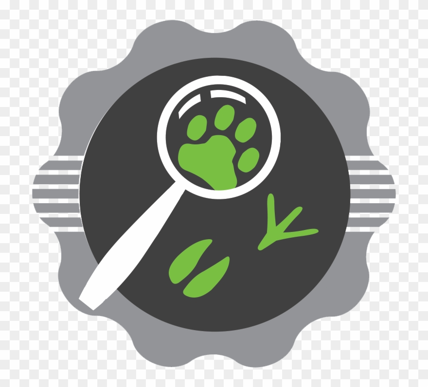 Investigations & Rescue Clipart