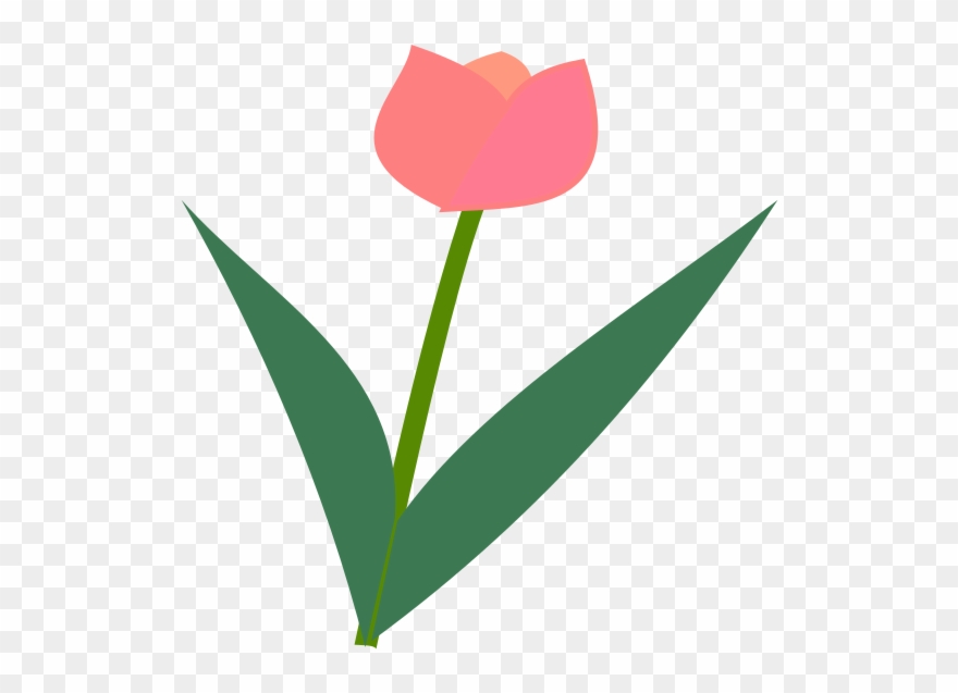 Tulip Flower - Icon Clipart