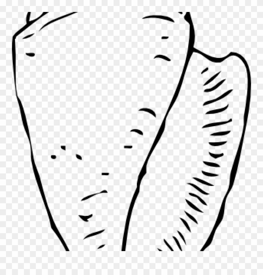 Seashell Clipart Seashell Clip Art Free Printable Clipart - Png Download