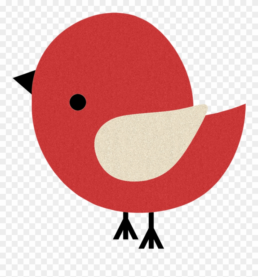 Birds ‿✿⁀○ Clipart