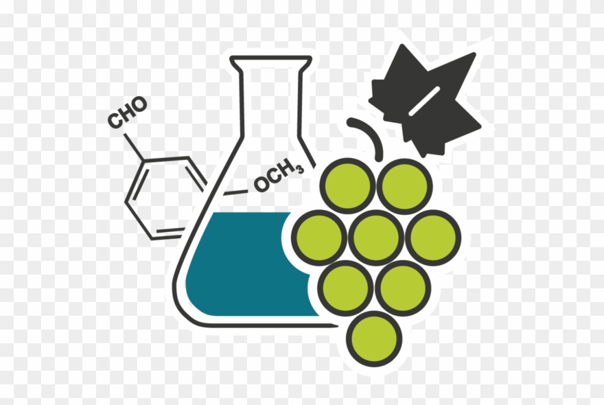 Department Of Microbiology Biochemistry Translate To Clipart