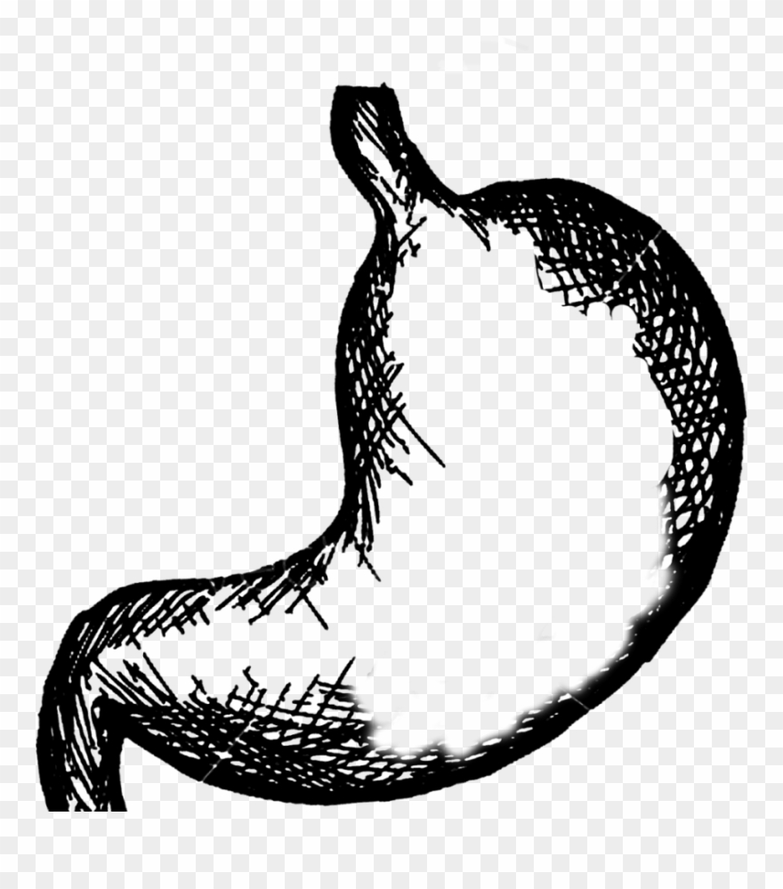 Statue Of Liberty Sphinx Stomach Astroids Clipart