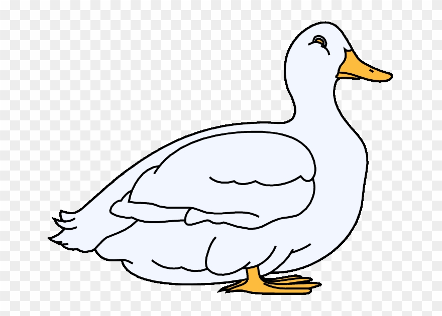 Duck - Clipart