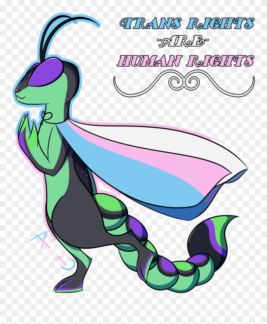 Trans Rights Are Human Rights Clipart