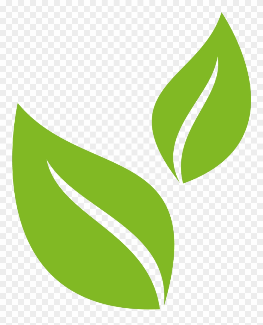 As A Result Of Improvements To The Physical Environment, Clipart