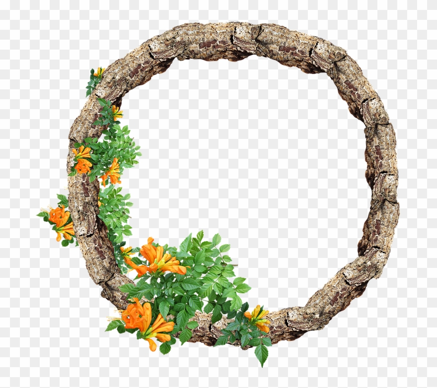 Free Photo Frame Pine Border Max Pixel Clipart