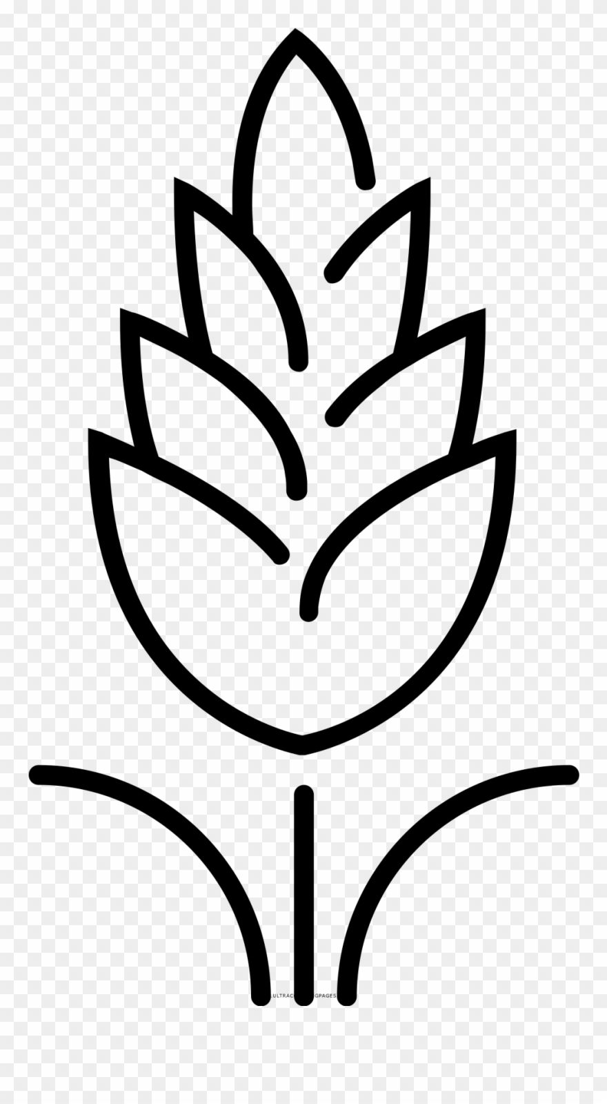 Wheat Coloring Page Clipart