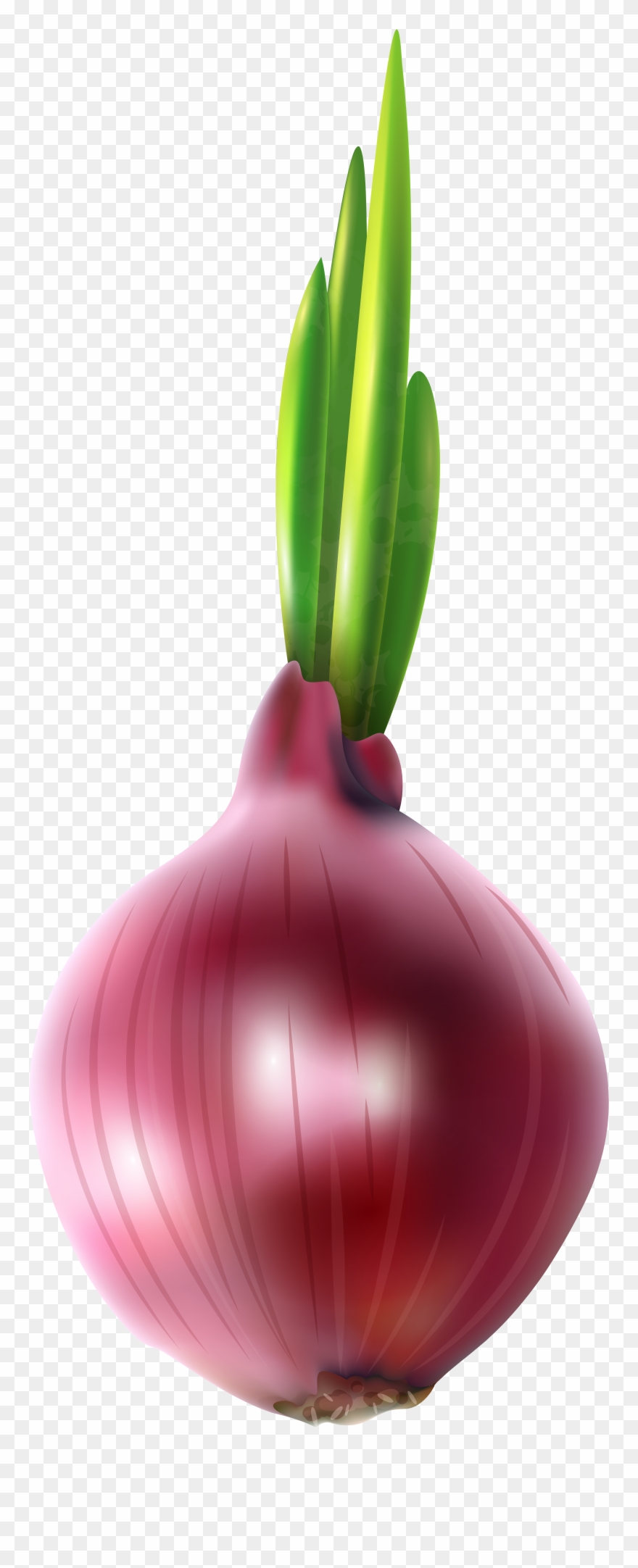 Clipart Summer Vegetable - Png Download