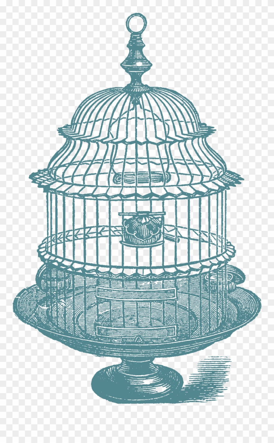 Download Above Set Of Bird Cage Stock Images - Victorian Bird Cage Line Drawing Clipart